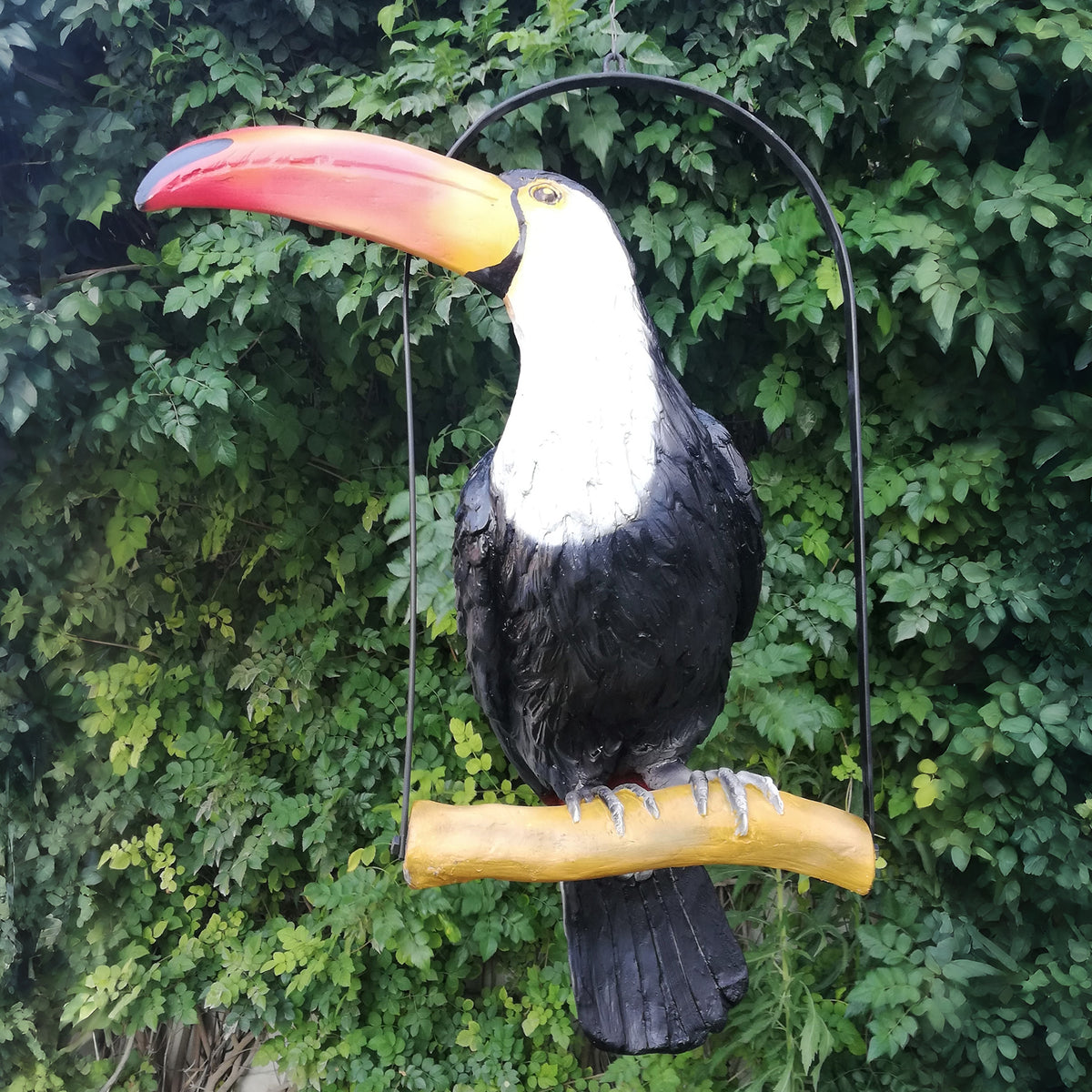 Toucan