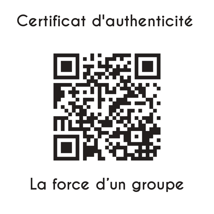 certificat d'authenticité la force d'un groupe sculpture en résine