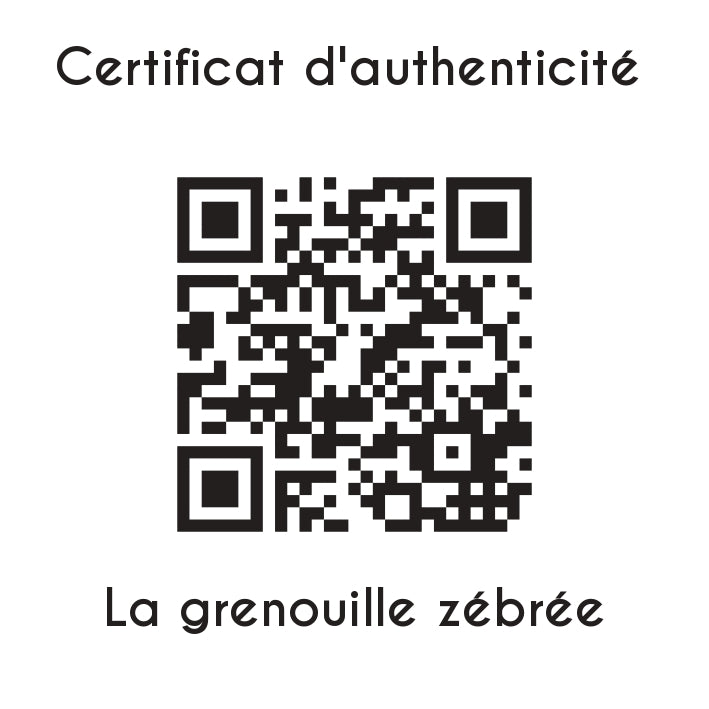 certificat d'authenticité La grenouille zébrée Sculpture en résine