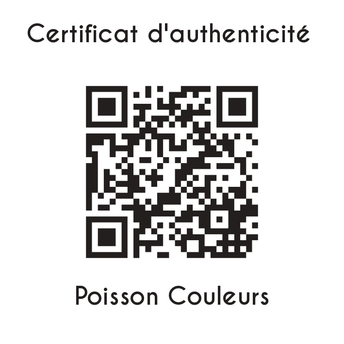 certificat d'authenticité Poisson couleurs sculpture en résine