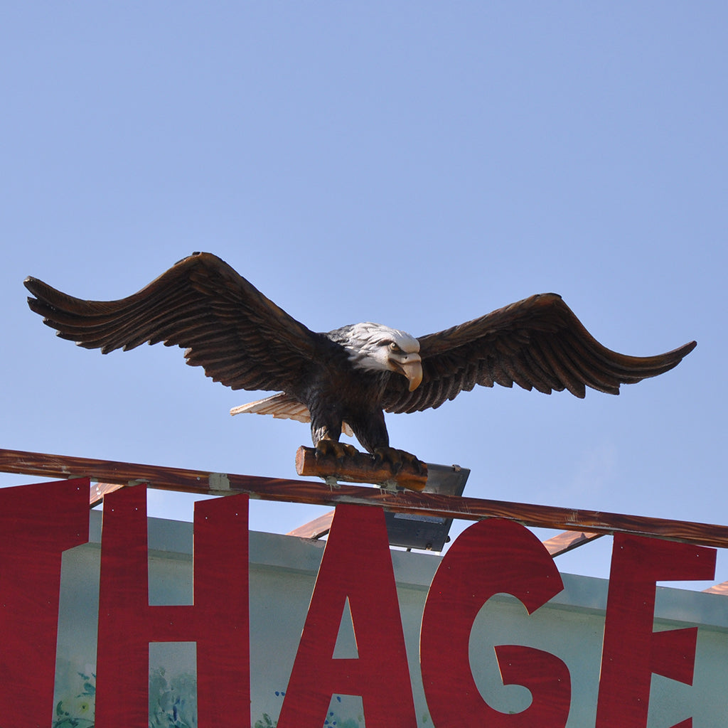 Aigle