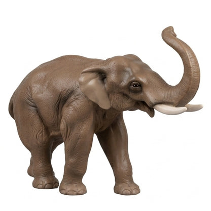 Eléphant PT