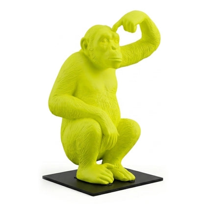 Chimpanzee