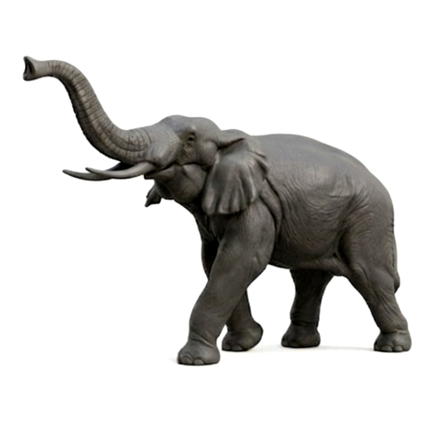 Eléphant GT