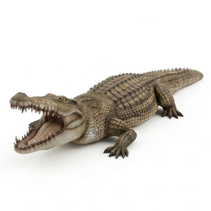 Crocodille