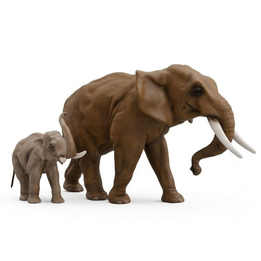 Éléphants MT et PT
