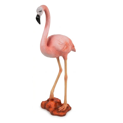 Flamant Rose