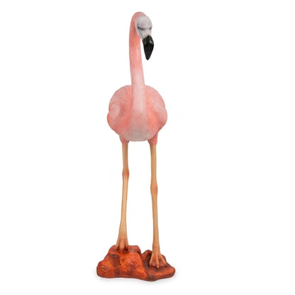 Flamant Rose