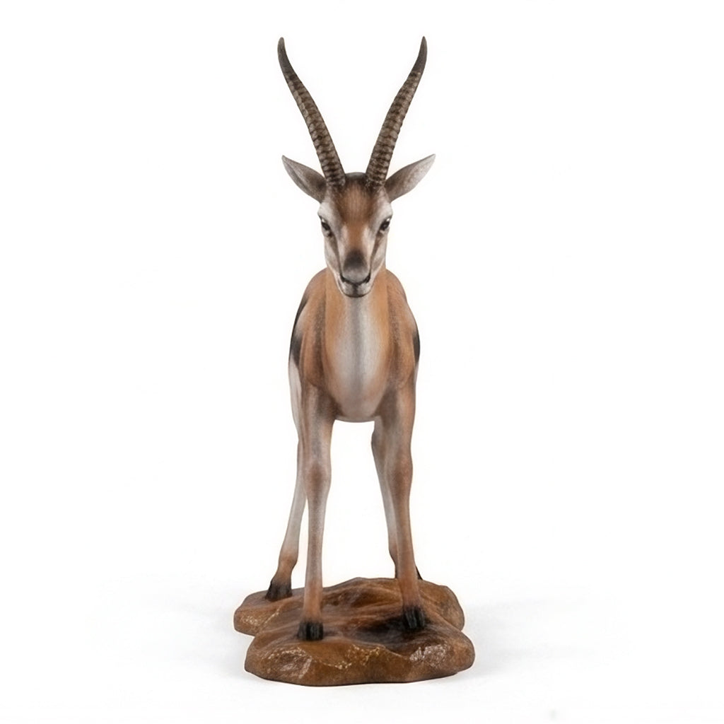 Gazelle