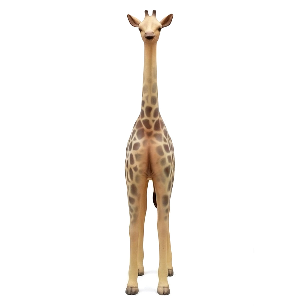 Girafe PT