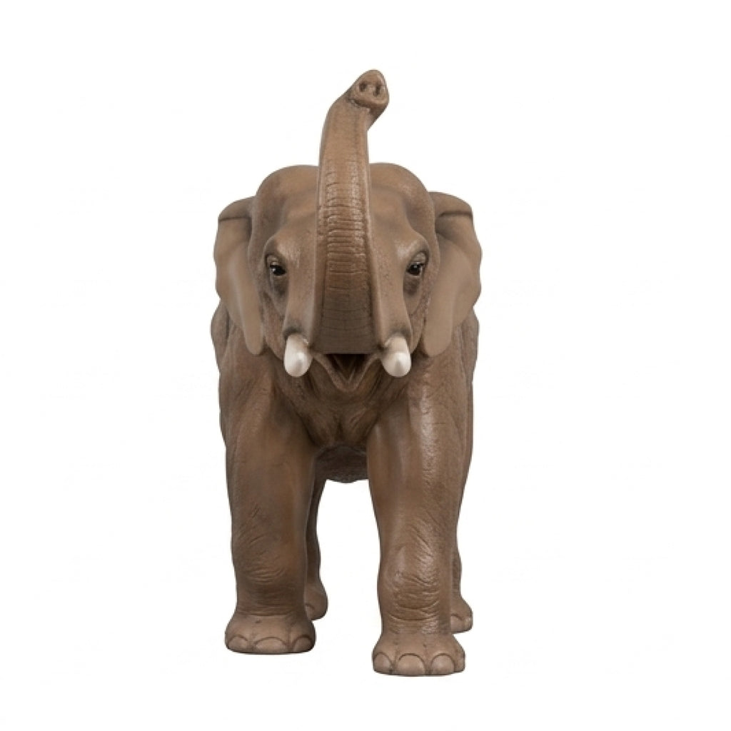 Eléphant PT
