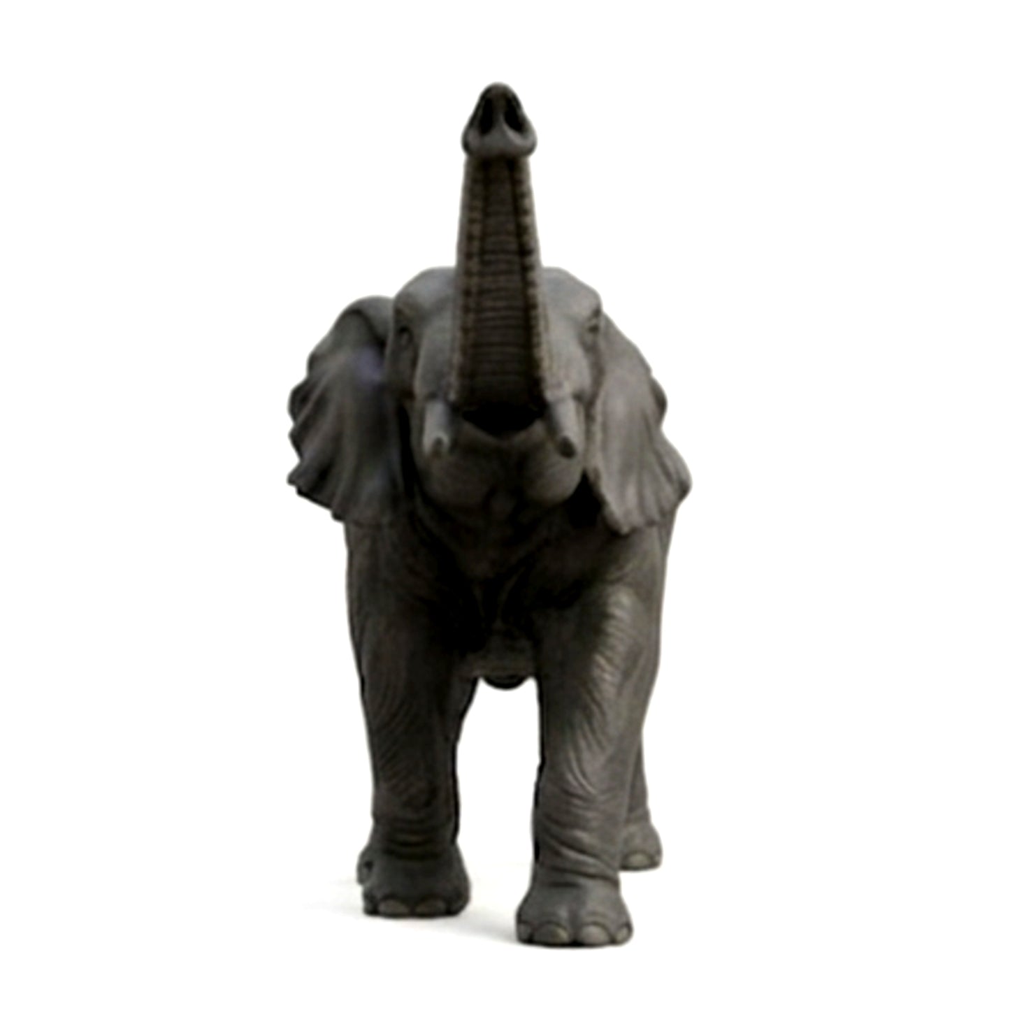 Eléphant GT