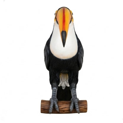Grand Toucan
