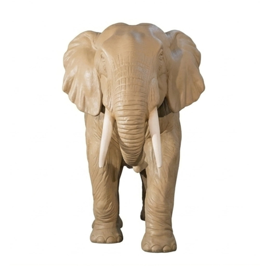Eléphant MT
