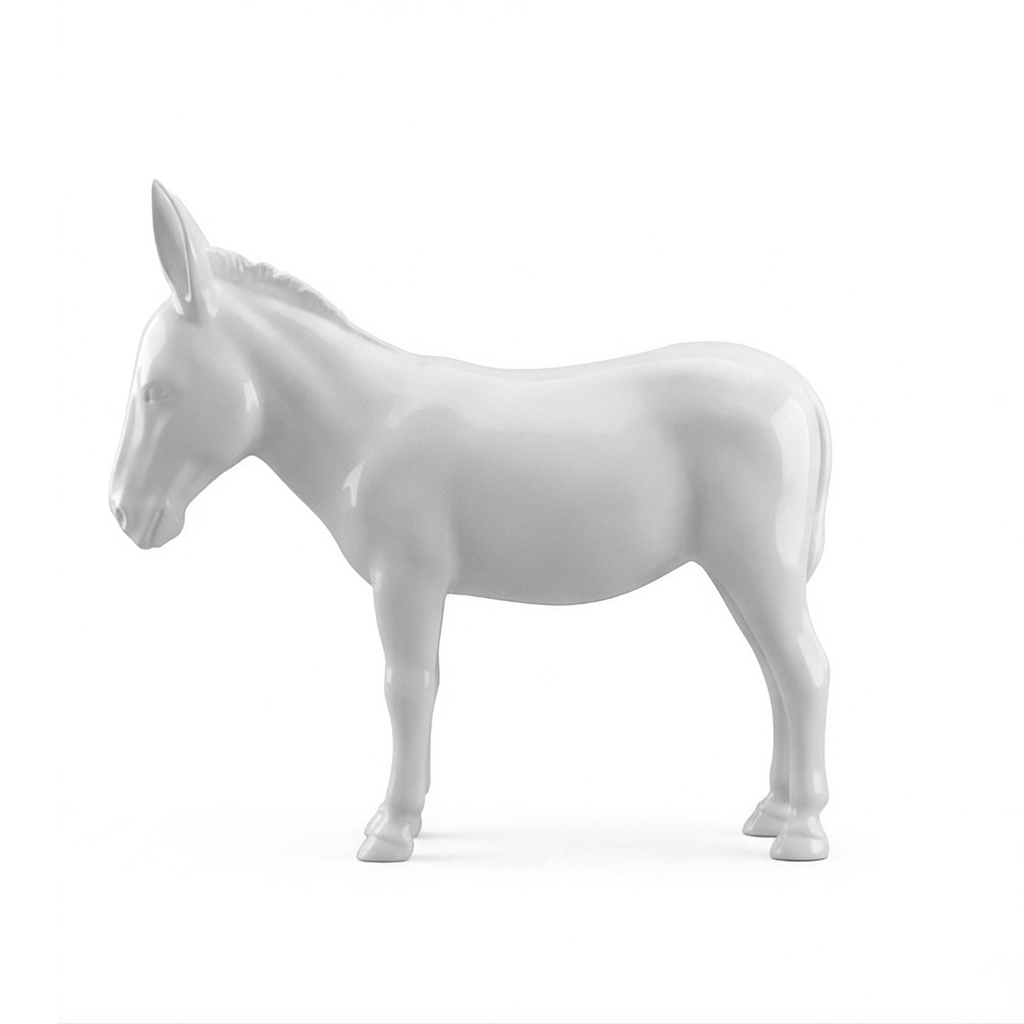 Ane