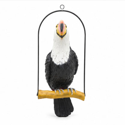Toucan