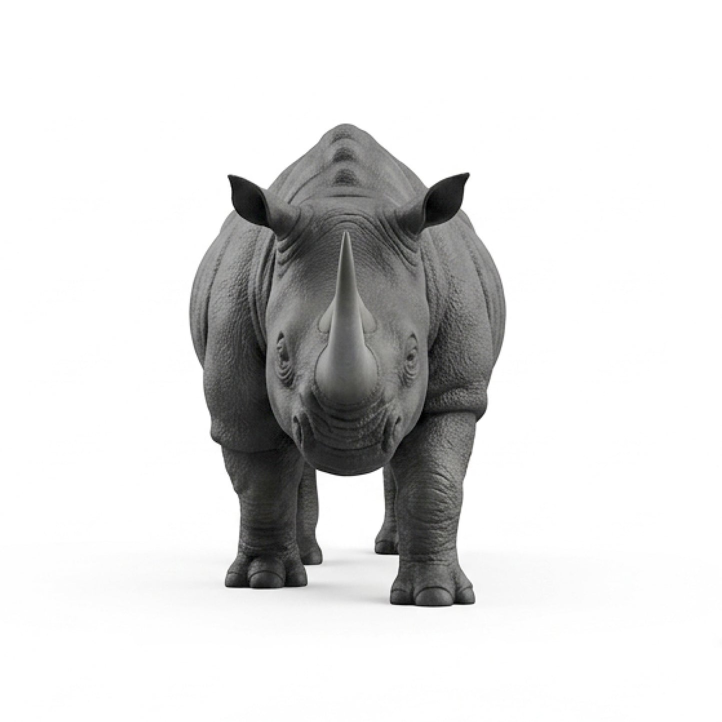 Rhinocéros GT