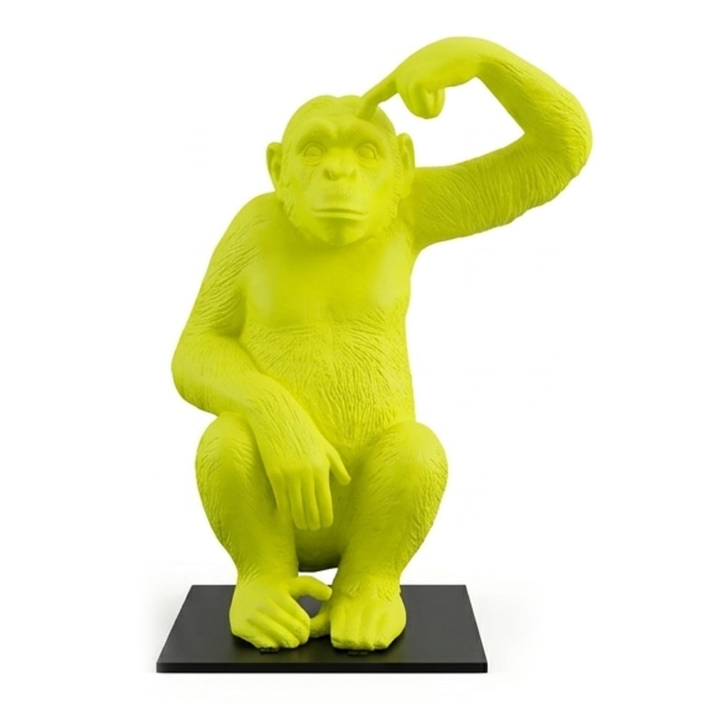 Chimpanzee