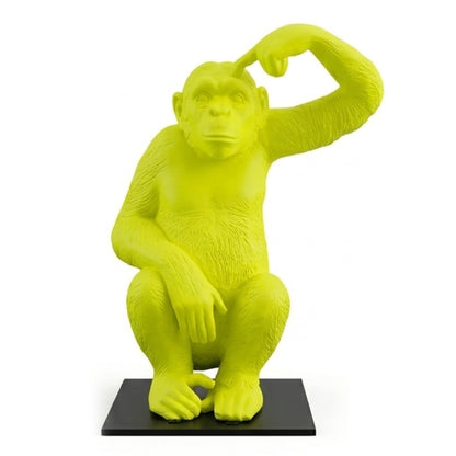Chimpanzee