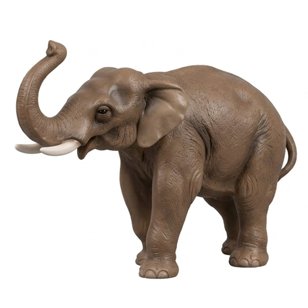 Eléphant PT