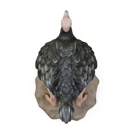 Autruche