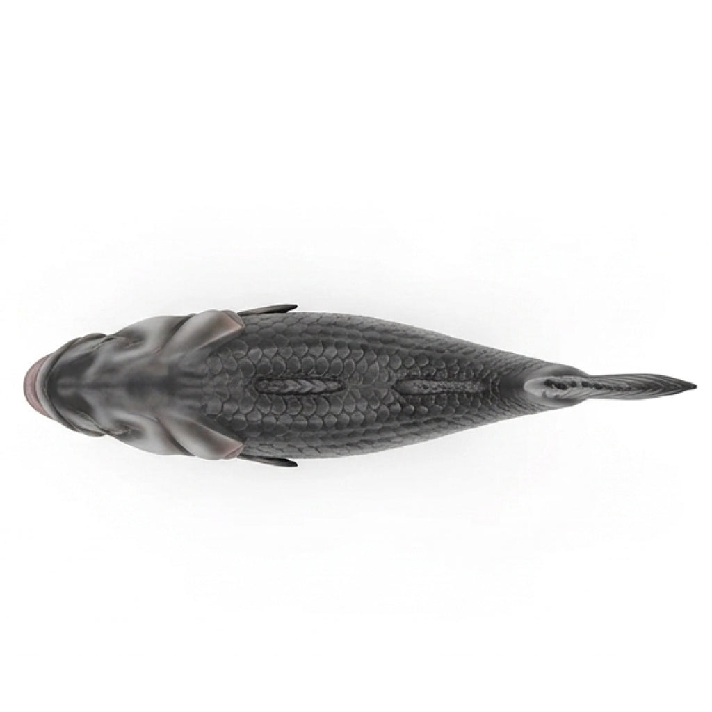 Poisson