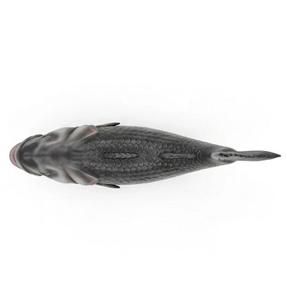 Poisson