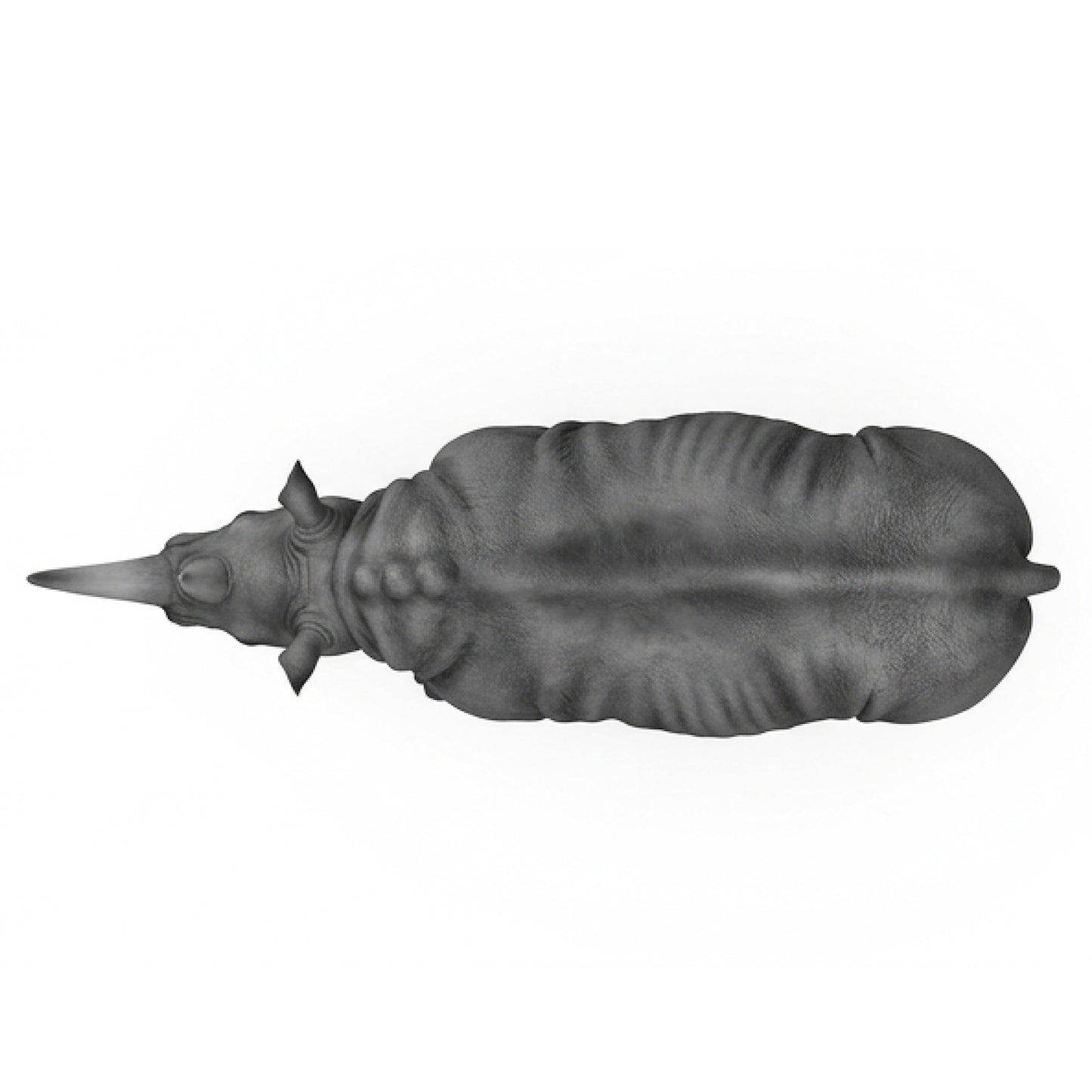 Rhinocéros GT