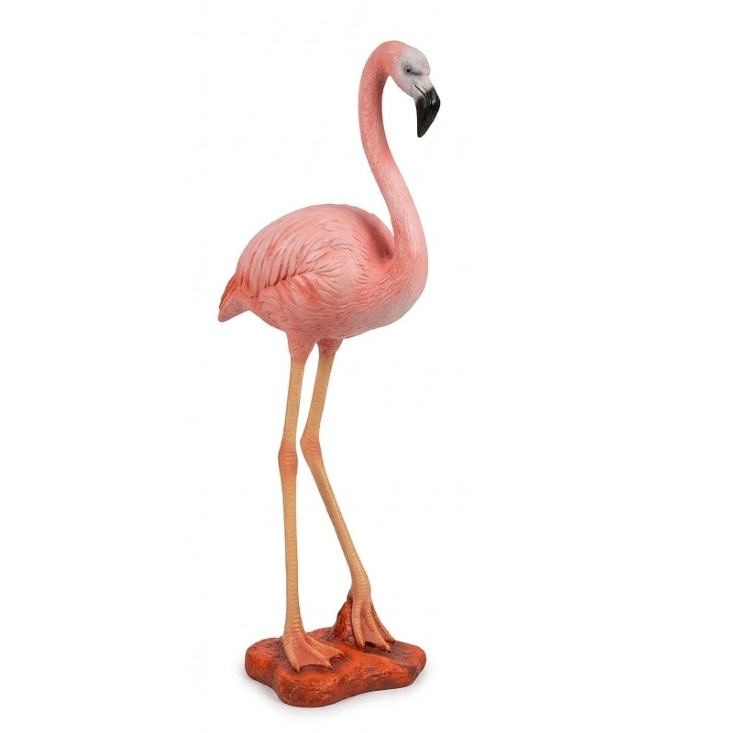 Flamant Rose