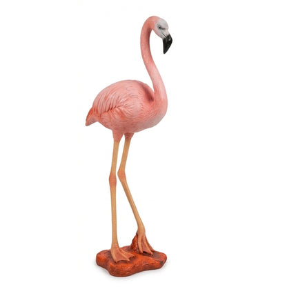 Flamant Rose