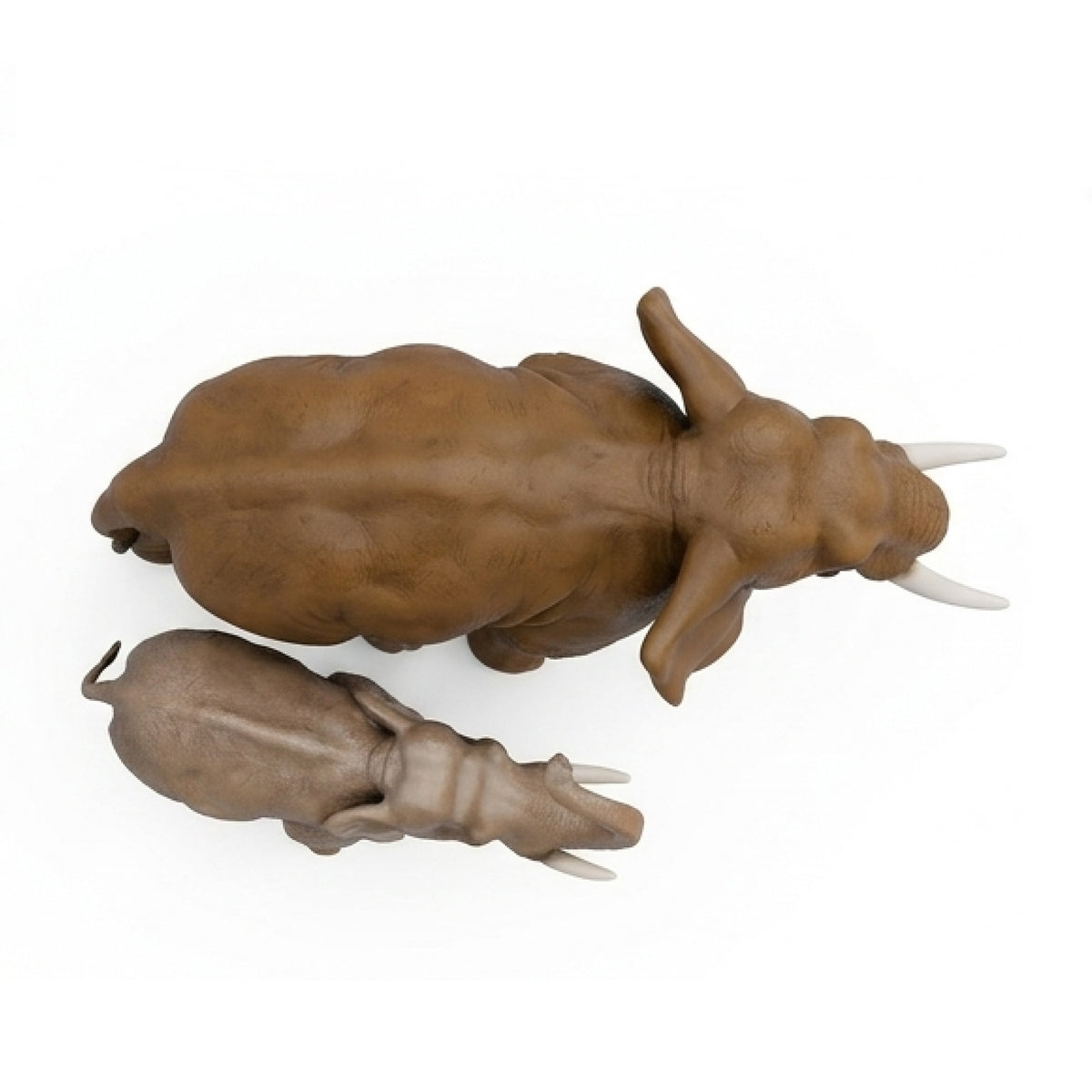 Éléphants MT et PT