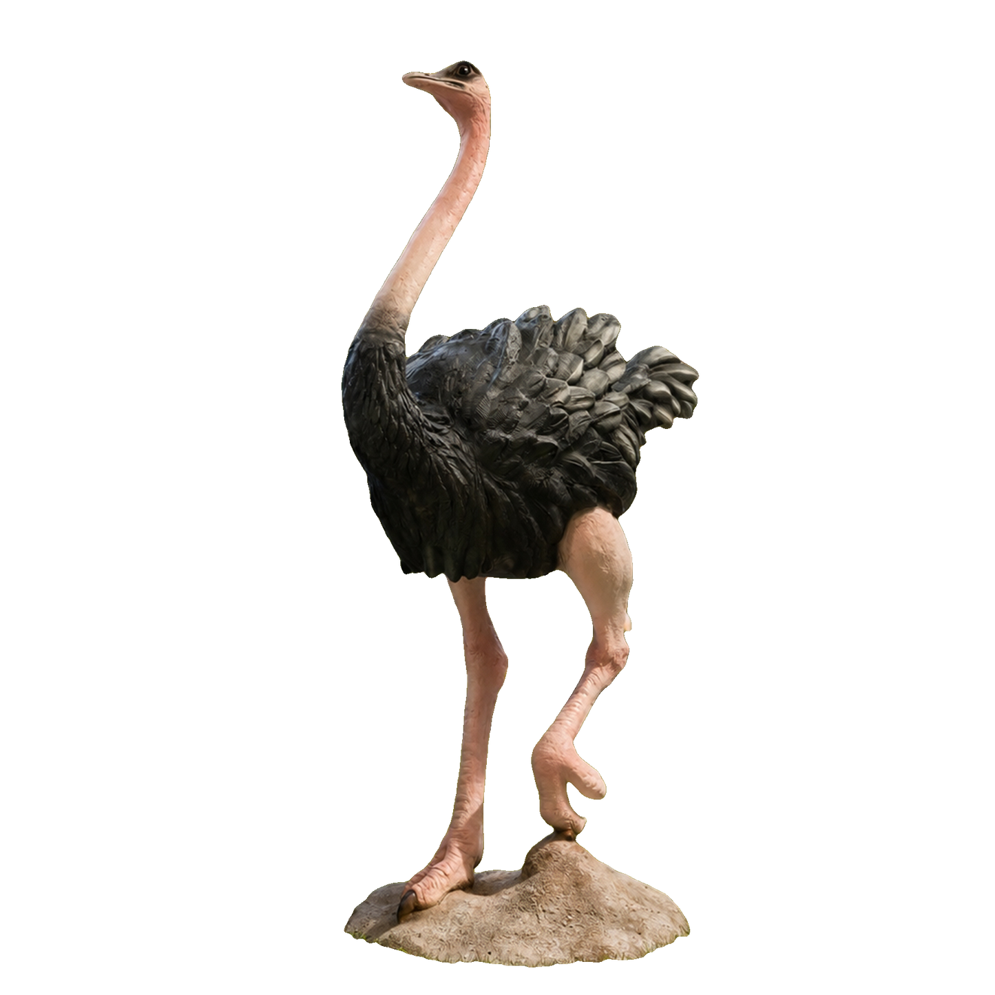Autruche