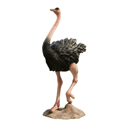 Autruche