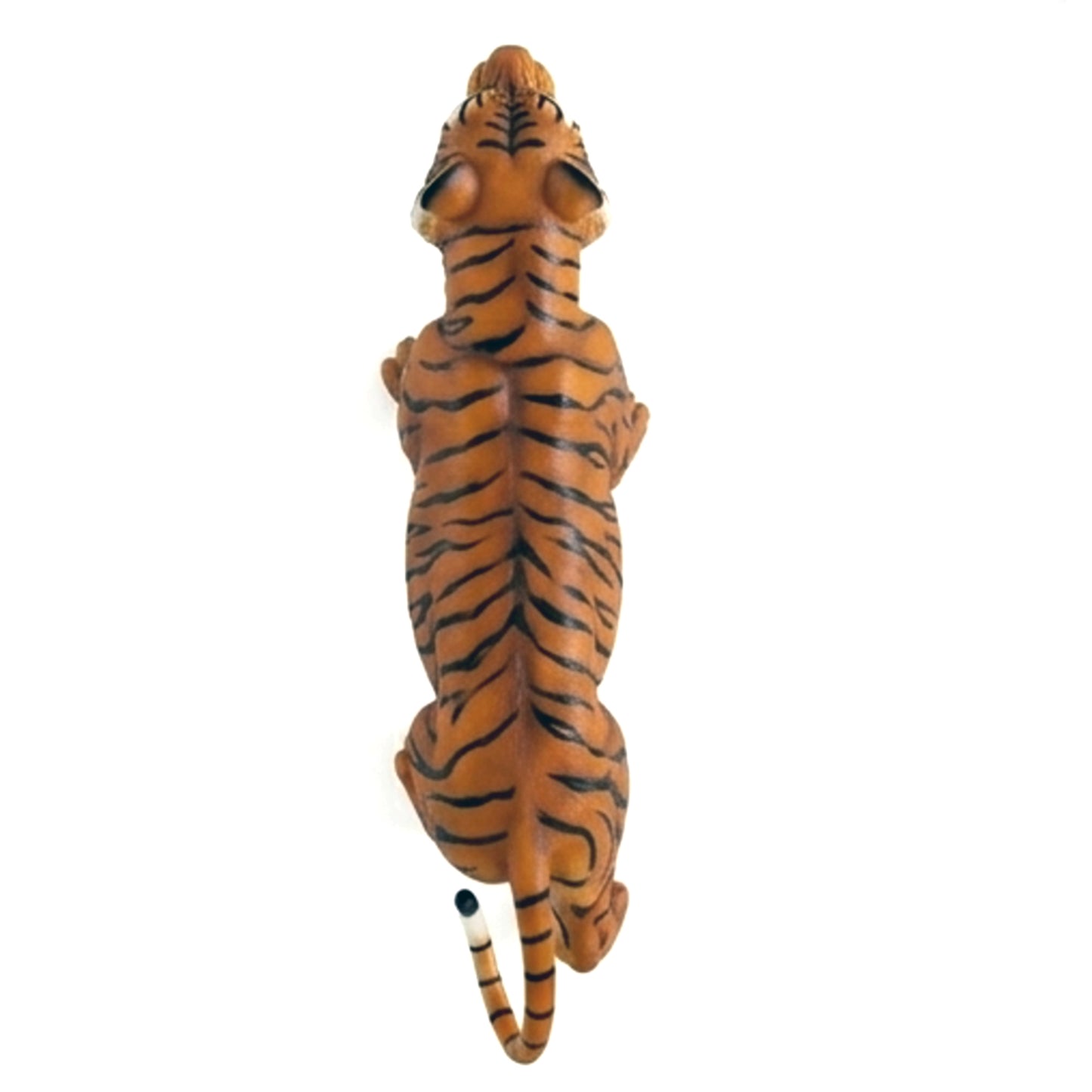 Tigre