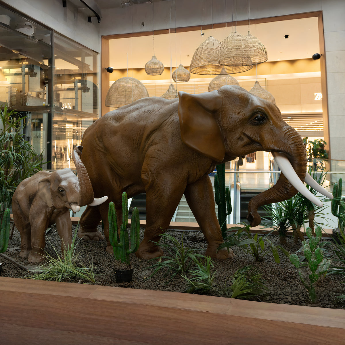 Éléphants MT et PT