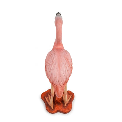 Flamant Rose