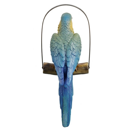 Perroquet PT