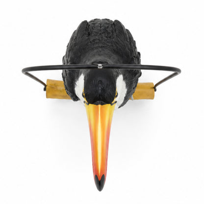 Toucan