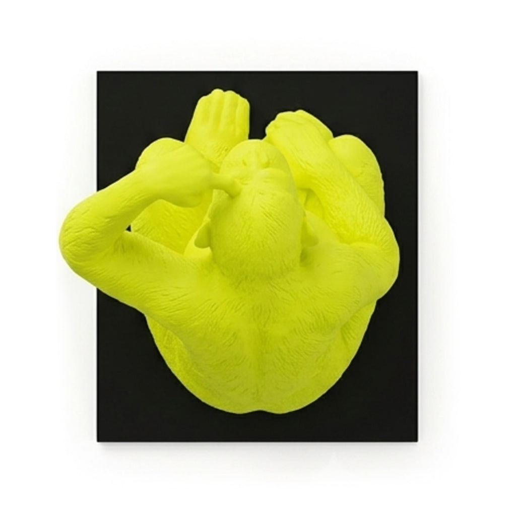 Chimpanzee
