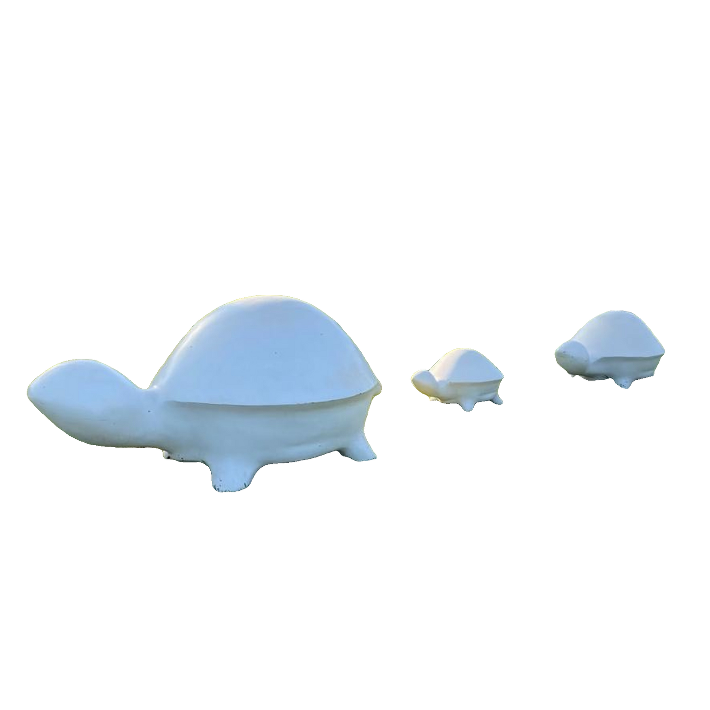 Tortue