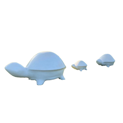 Tortue