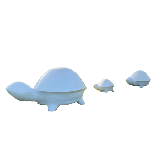 Tortue