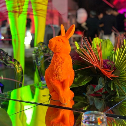 Lapin