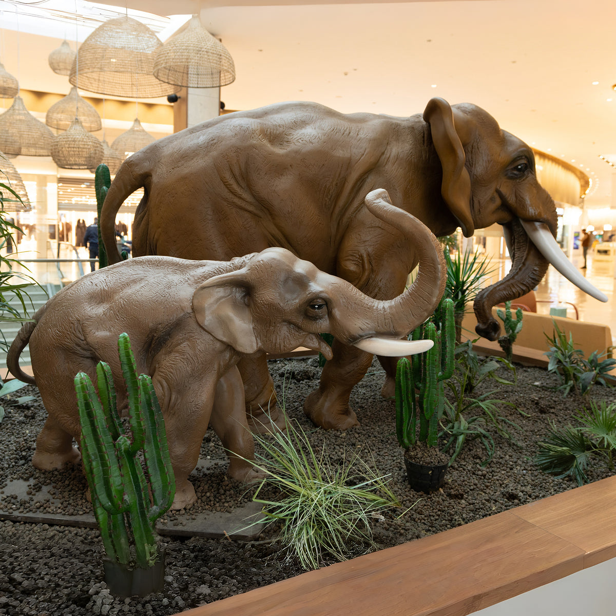Éléphants MT et PT