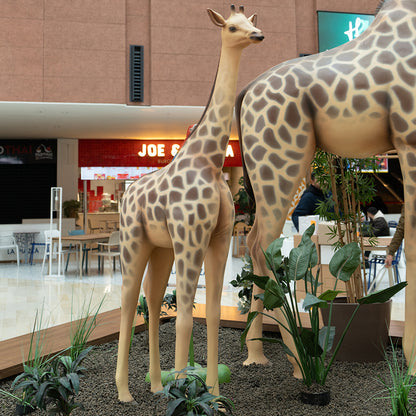 Girafe PT