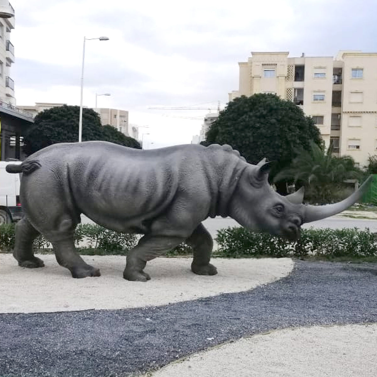 Rhinocéros GT