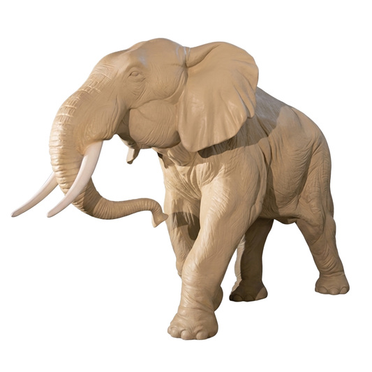 Eléphant MT