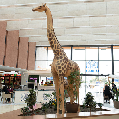 Girafe GT