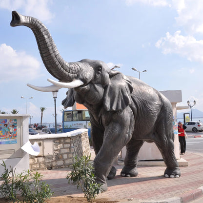 Eléphant GT