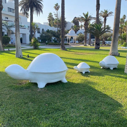 Tortue